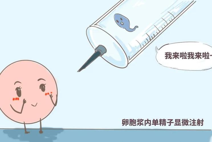 代生儿子几多费用(代生儿子费用调查:究竟需要多少钱?)