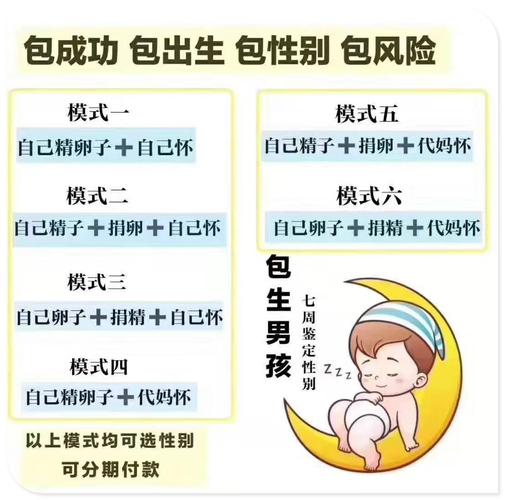 代生男孩公司_代生男孩公司:打造健康未来的选择